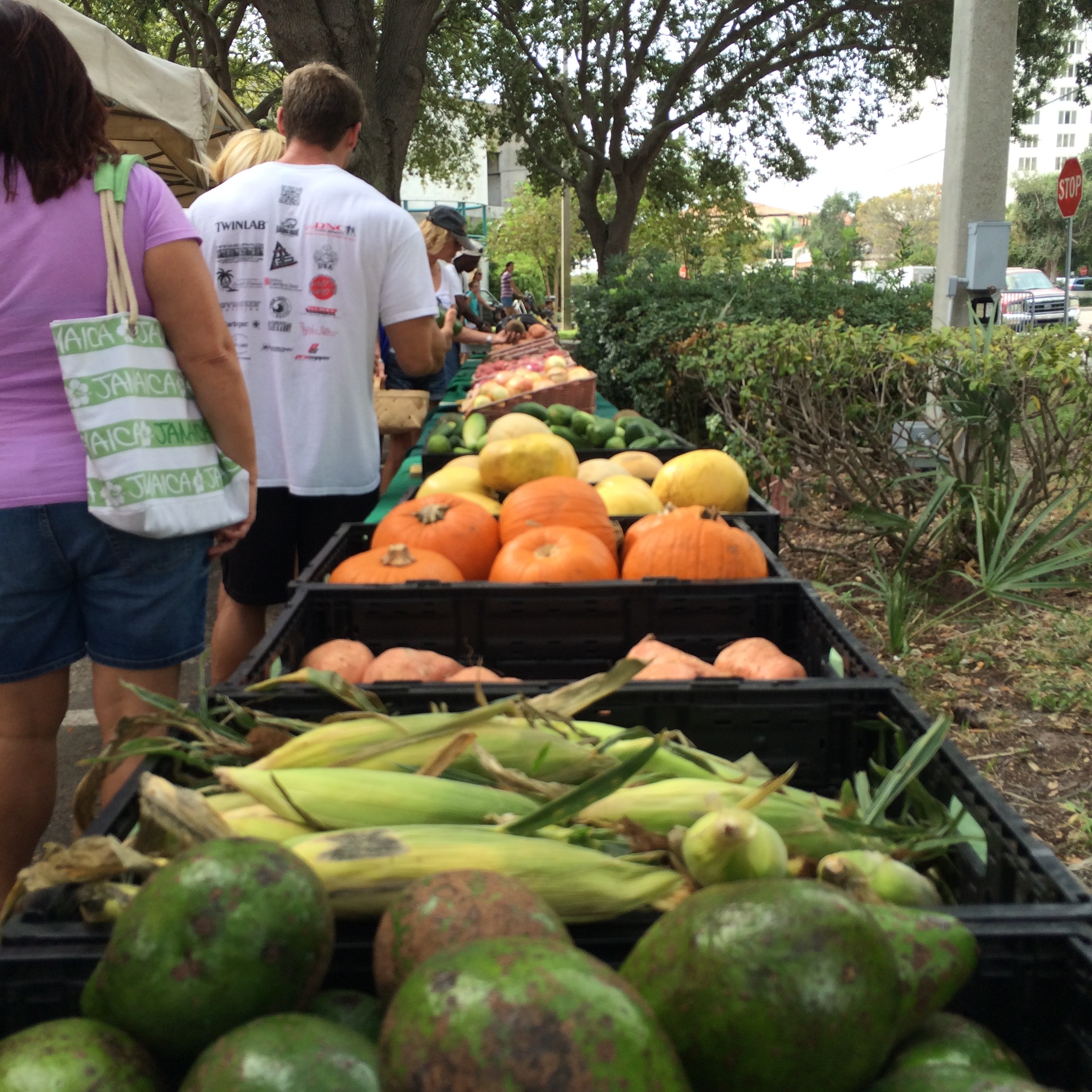 farmer's market produce