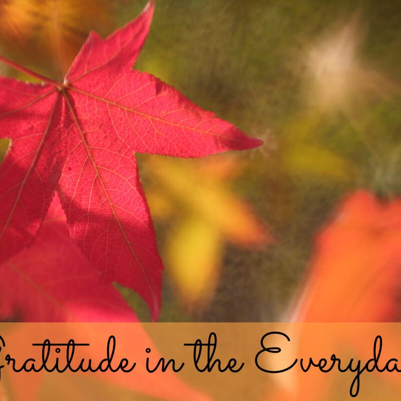 Gratitude in the Everyday, Part I