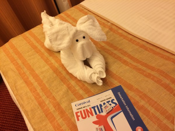 towel animal for wednesday