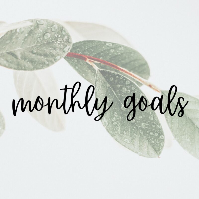 Monthly Goals | March 2024