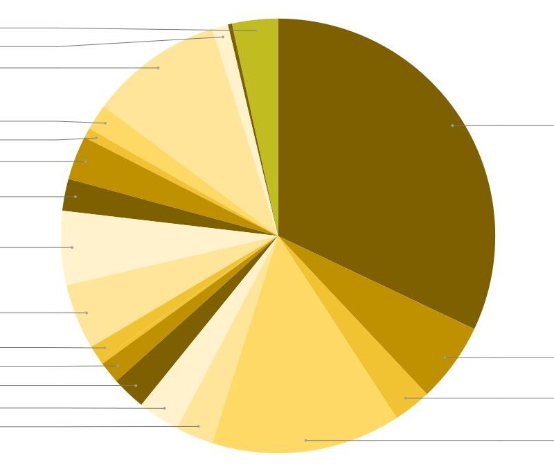 Time Logging | March 25-31, 2024