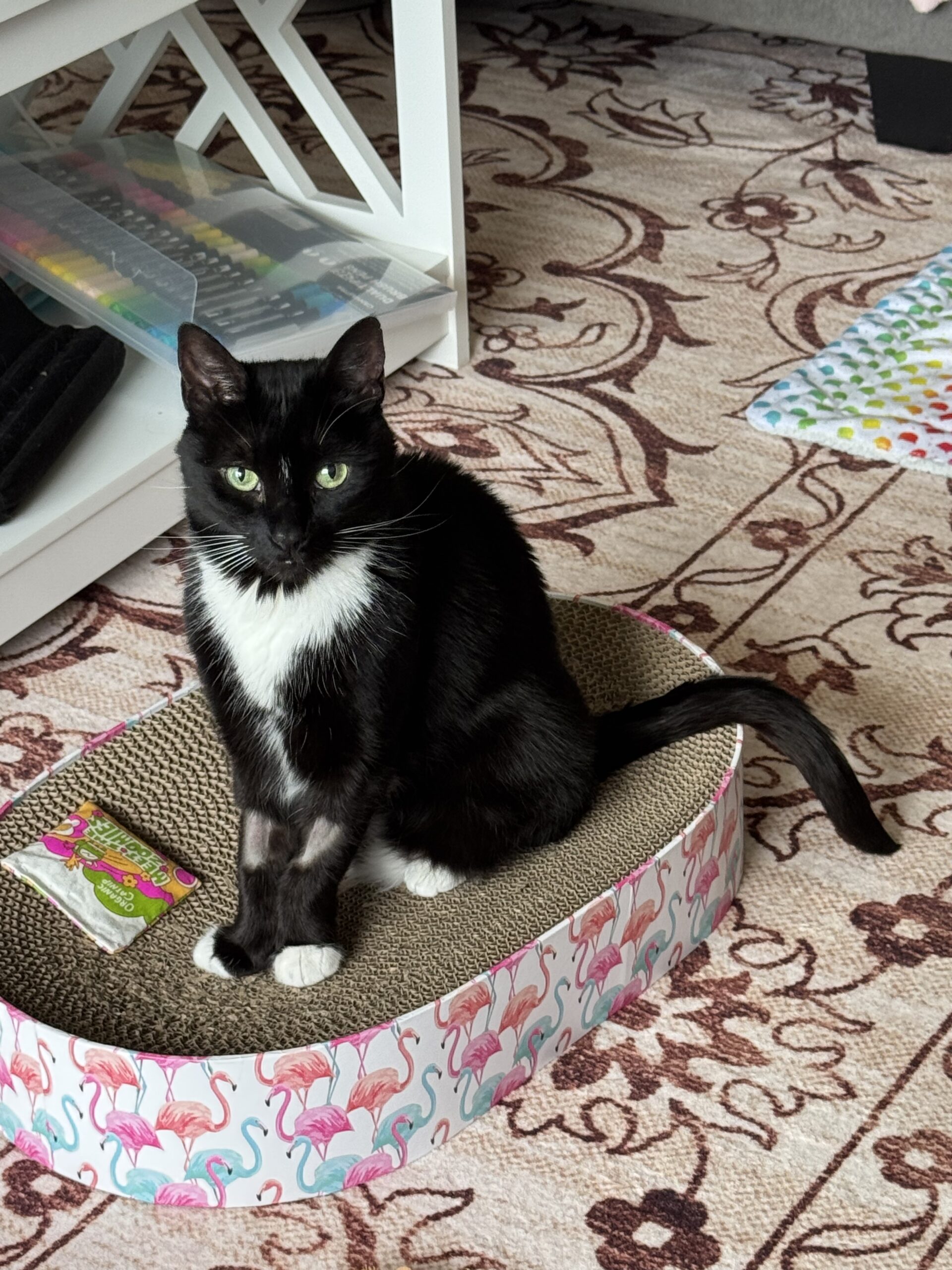 Five for Friday: The “I’m Falling Apart” Edition