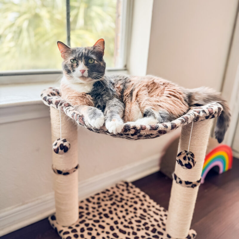 Five for Friday (v. 117)