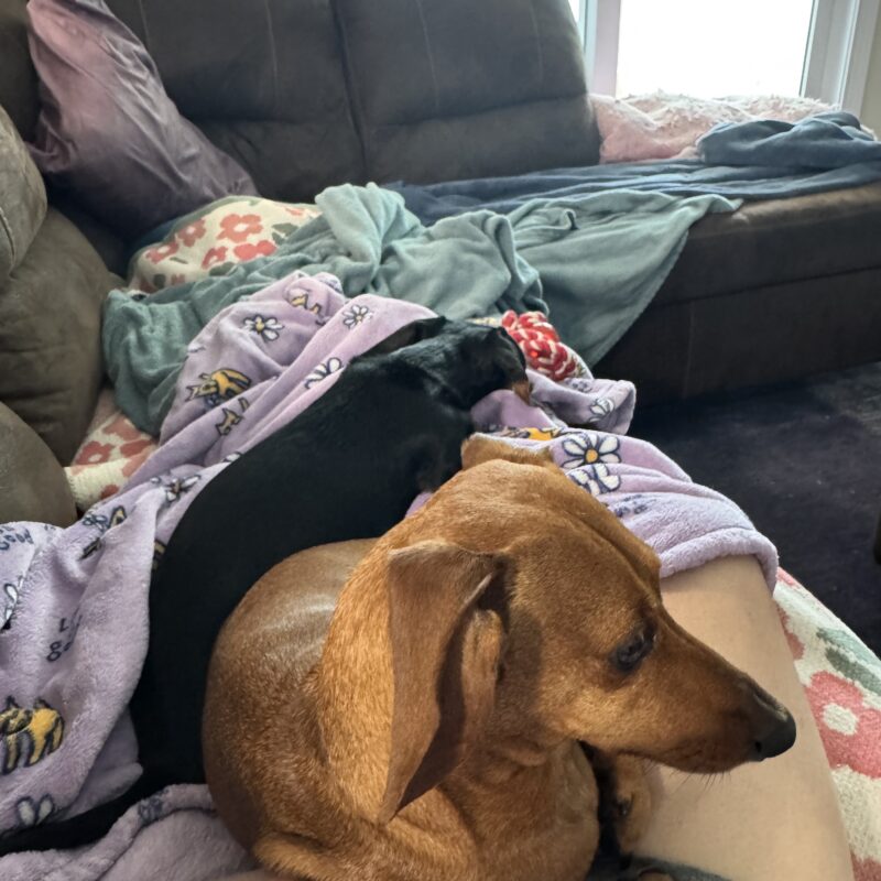 Five for Friday (v. 118)