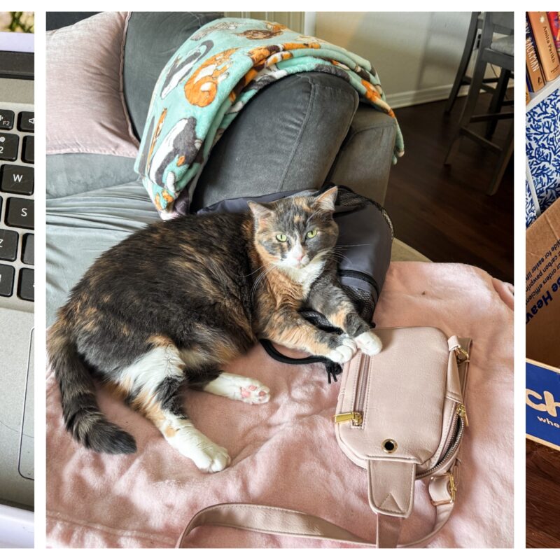 Monthly Recap | July 2025