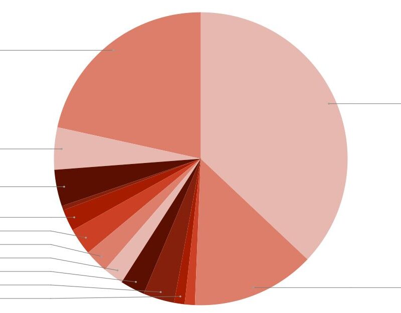 Monthly Spending Report | August 2025