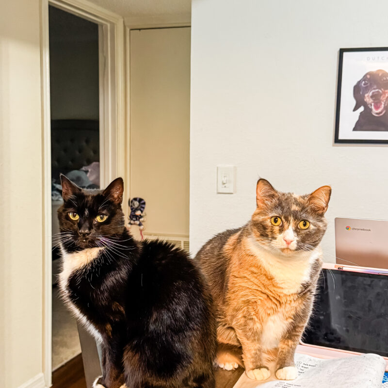 Five for Friday (v. 120)