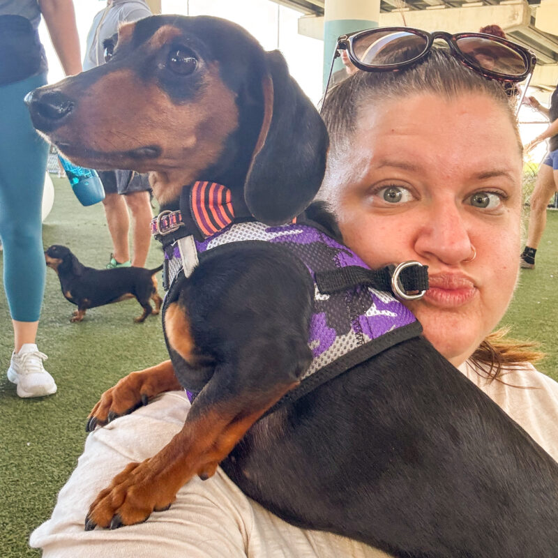 Five for Friday (v. 121)