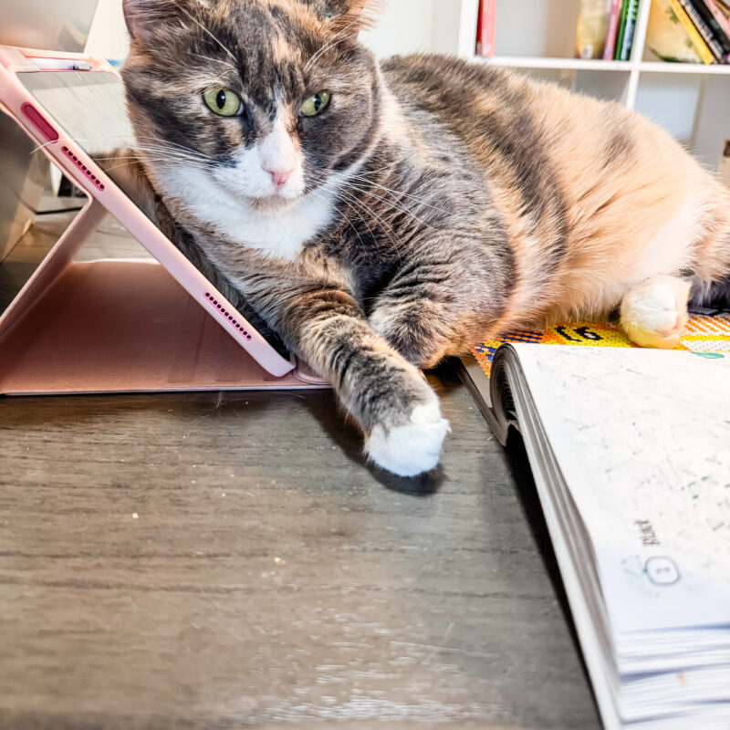 September & October in Pictures