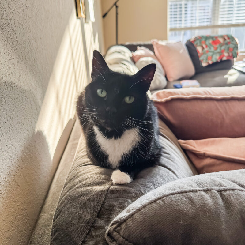 Week in the Life: Monday, November 17, 2025