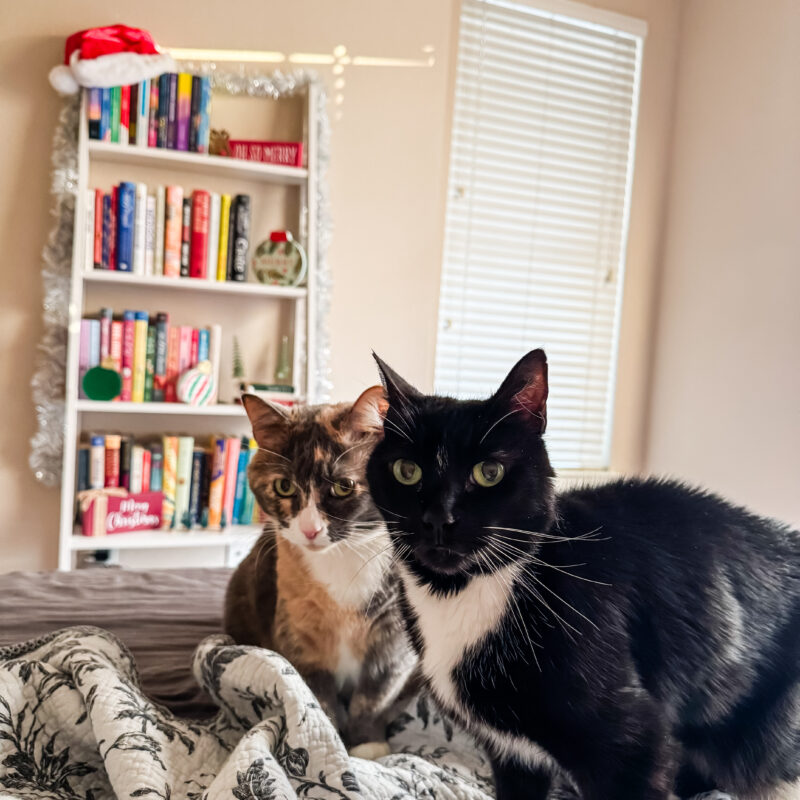 Week in the Life: Wednesday, November 19, 2025