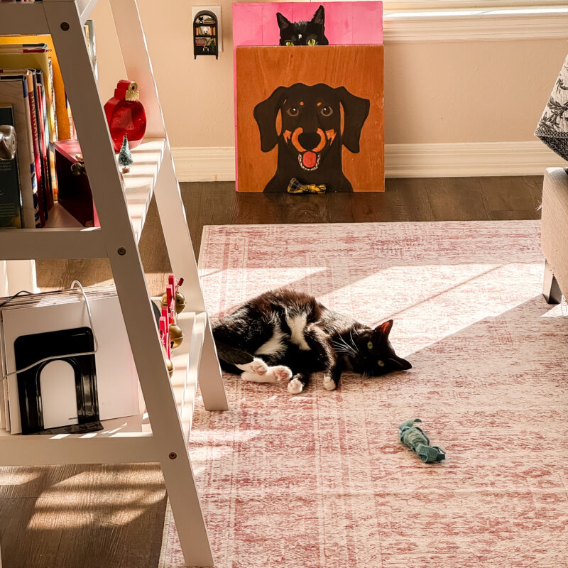 Week in the Life: Thursday, November 20, 2025