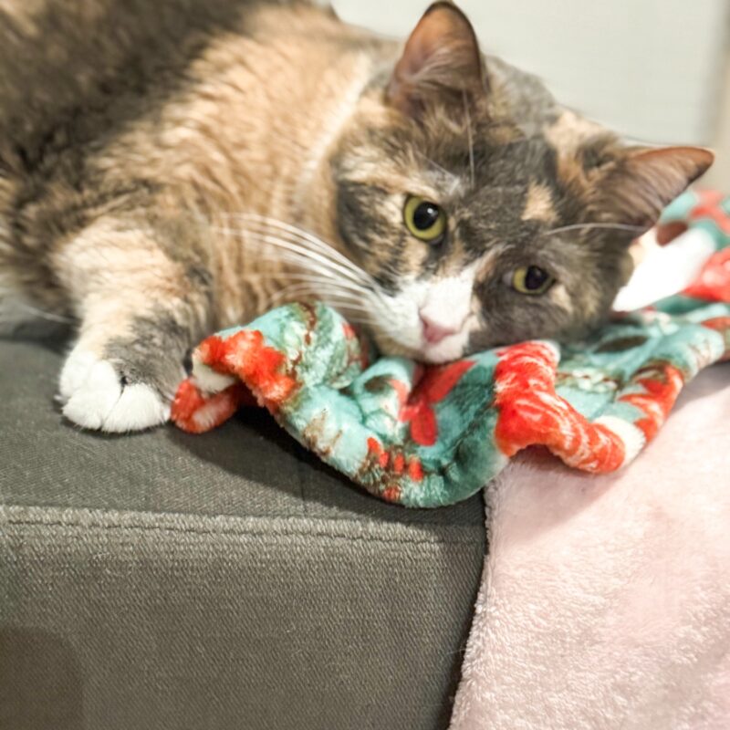 Week in the Life: Friday, November 21, 2025