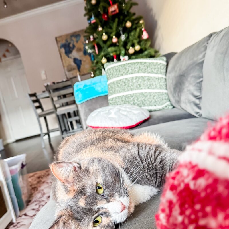 Week in the Life: Sunday, November 23, 2025