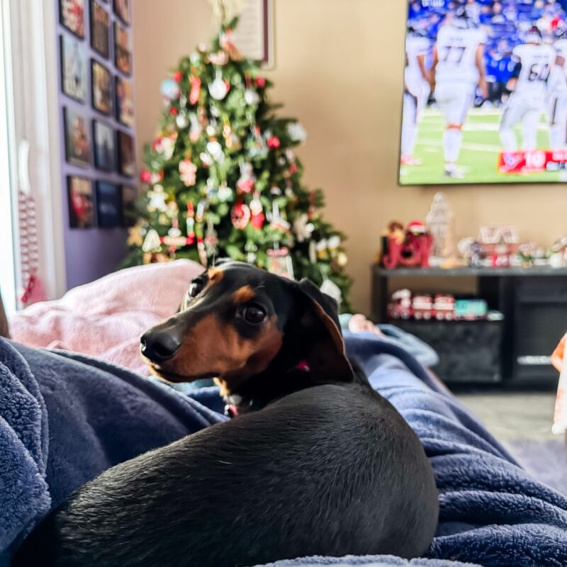 Five for Friday (v. 122)