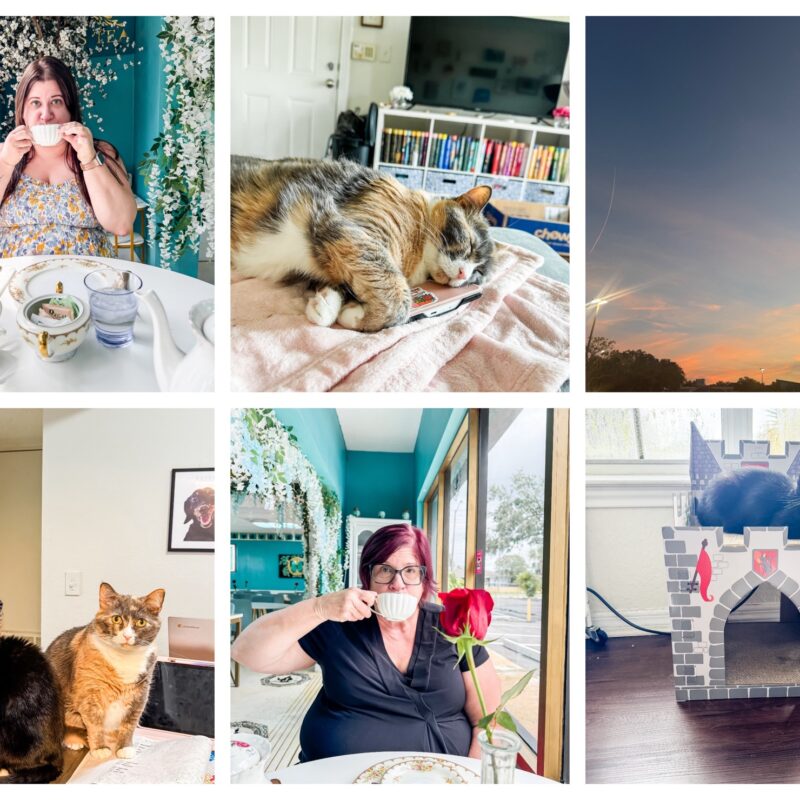 Best of 2025 | A Month-by-Month Recap