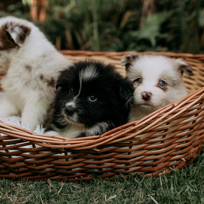 Three Things Thursday (v. 16)