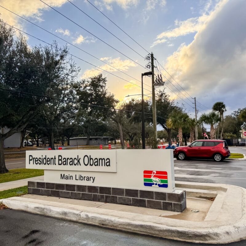 One Photo a Day | January 31 – February 6 (With FIGs!)