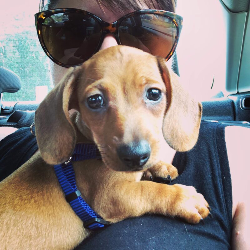 Five for Friday (v. 128)