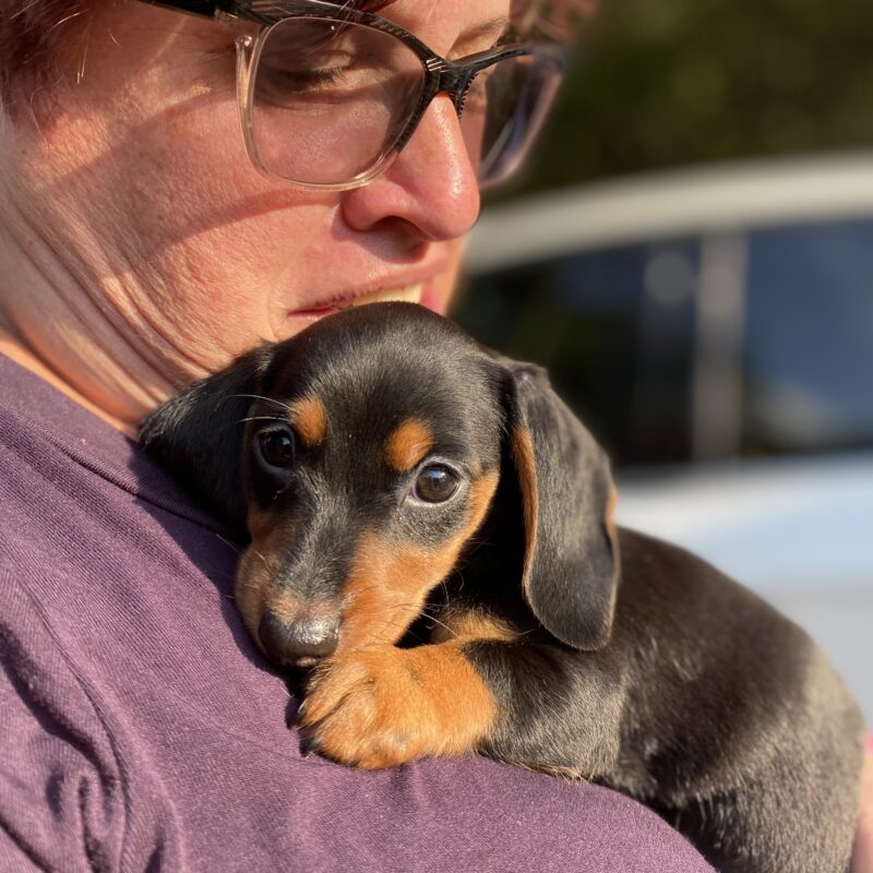 Five for Friday (v. 129)