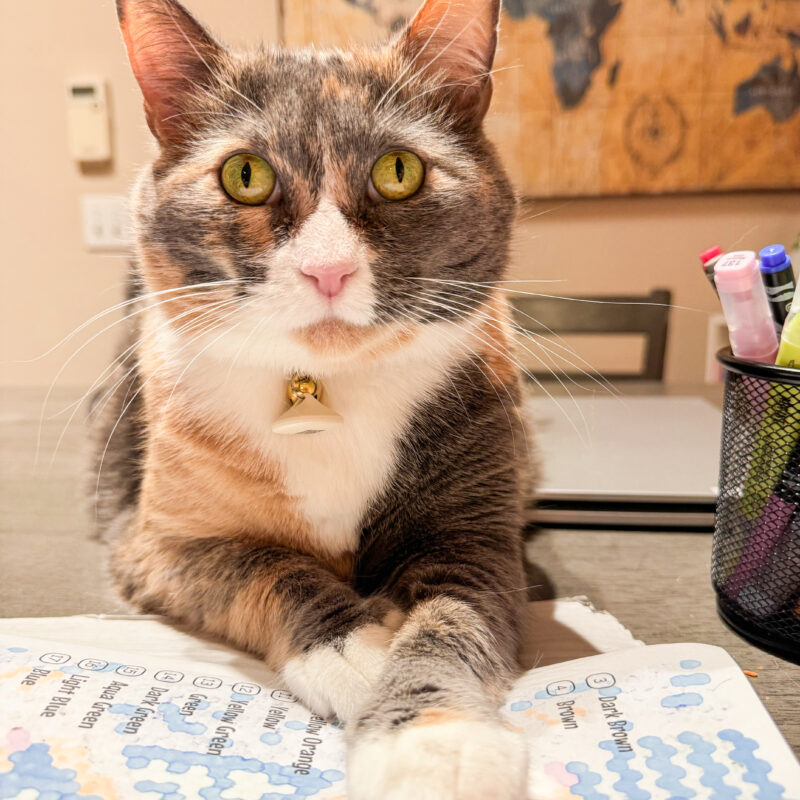 One Photo a Day: February 28 – March 6