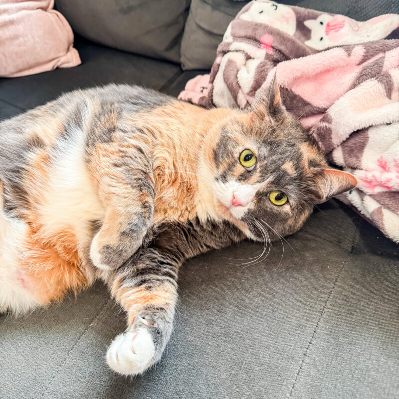 One Photo a Day: March 7 – 13