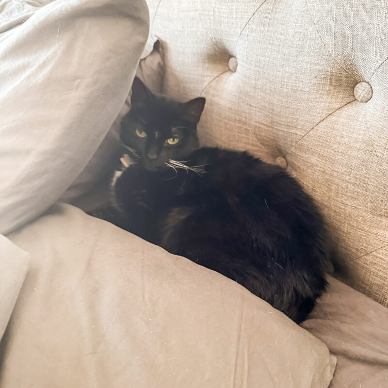 One Photo a Day: March 14 – 20