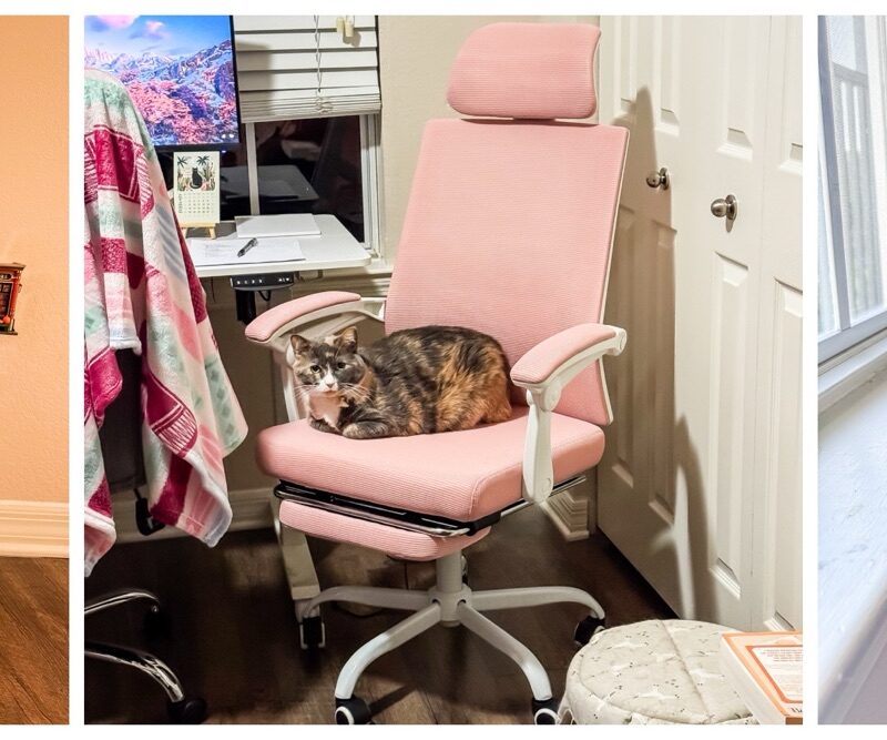 Monthly Review | February 2026