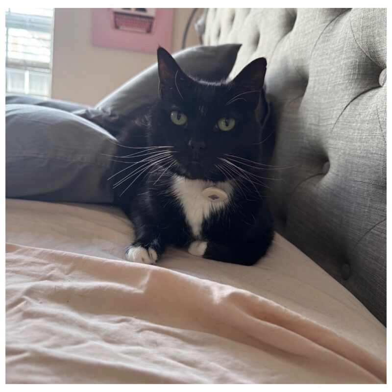 Monthly Review | March 2026