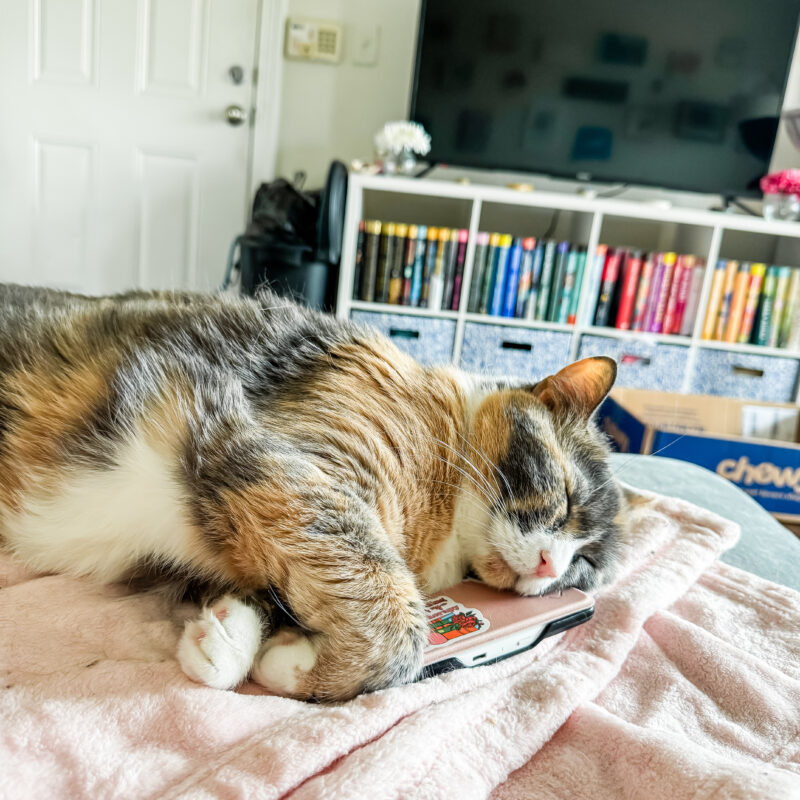 Five for Friday: All About Lila