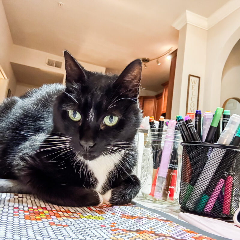 One Photo Per Day: September 12 – 18